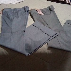 Dress pants